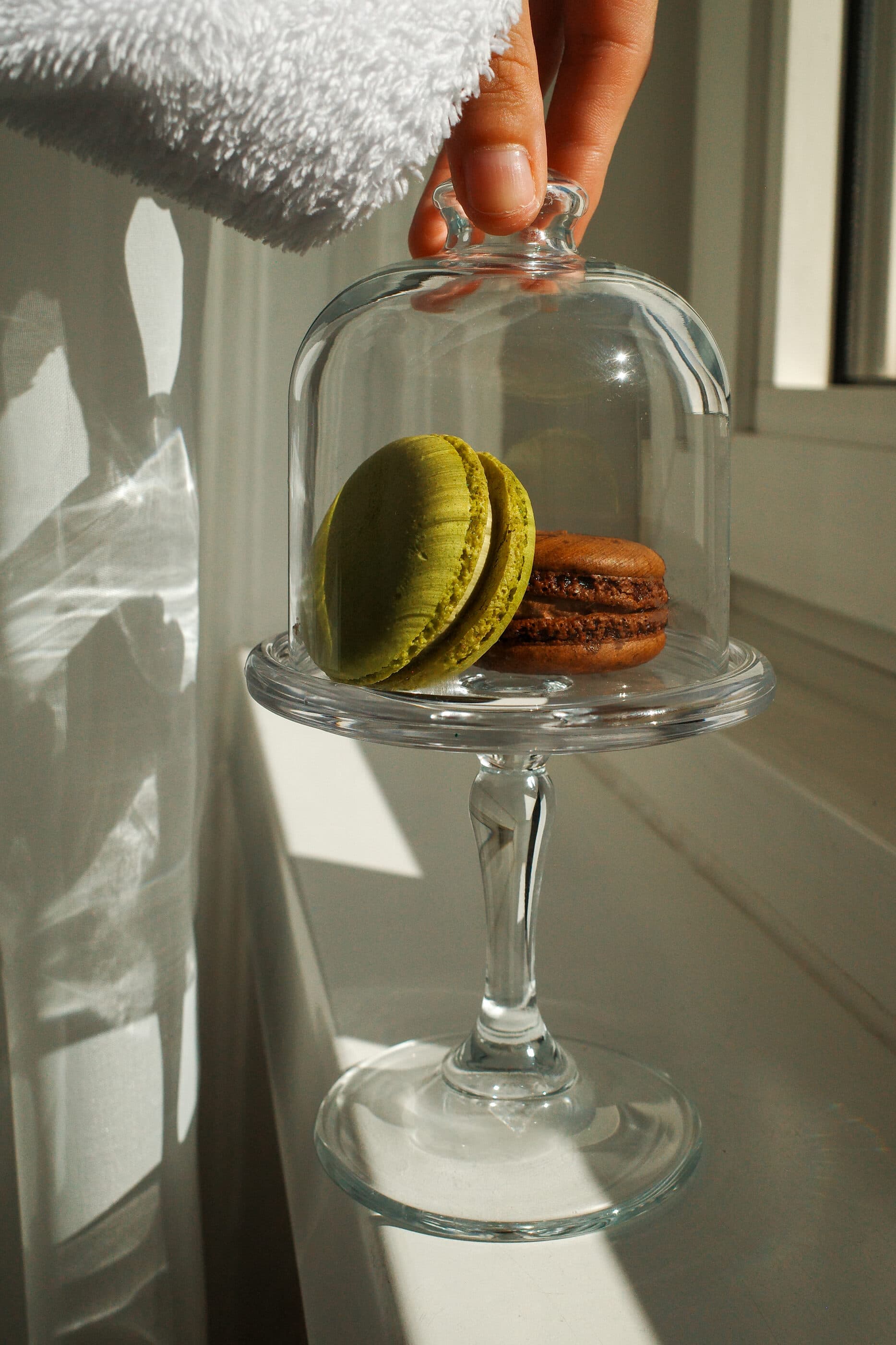 Hotel Rathaus Wien — Hotels & venues photograph 12 by Sandrine Ceuppens