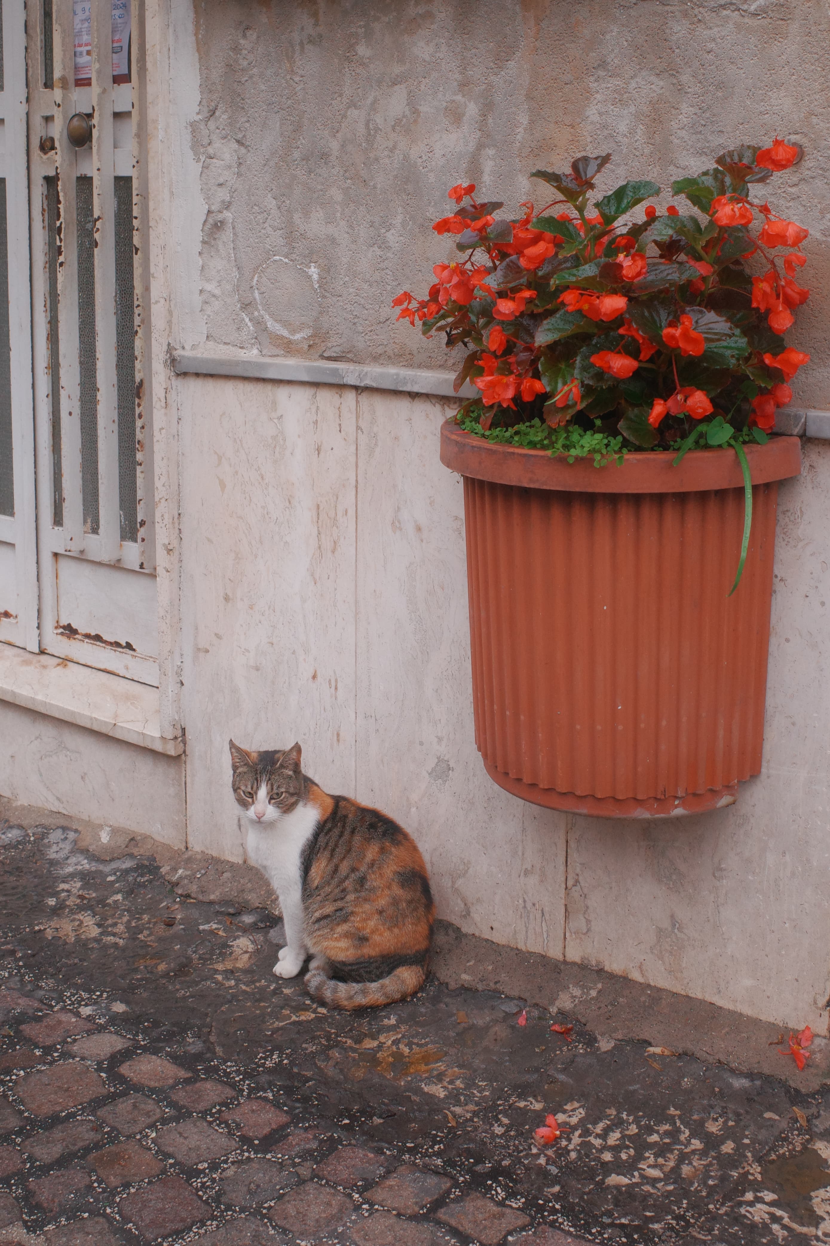 Napoli — Travel photograph 3 by Sandrine Ceuppens