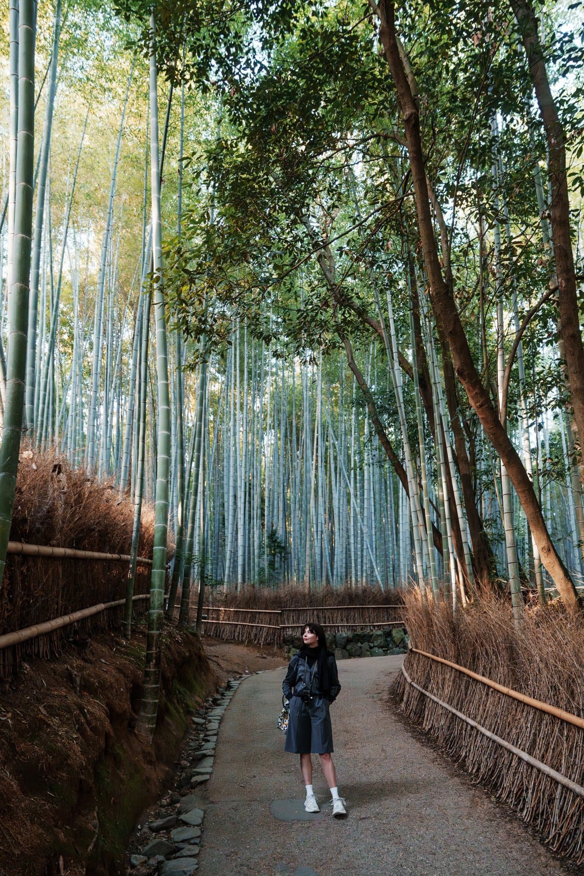 Arashiyama travel guide: go before sunrise