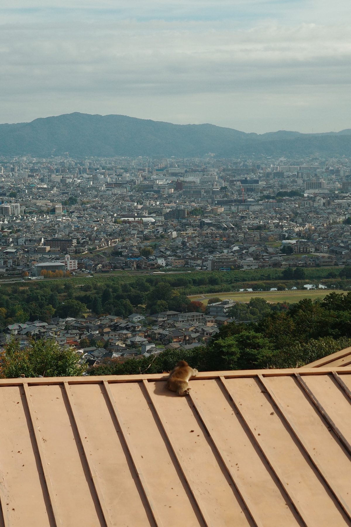 Kyoto seen from the top of the monkey park