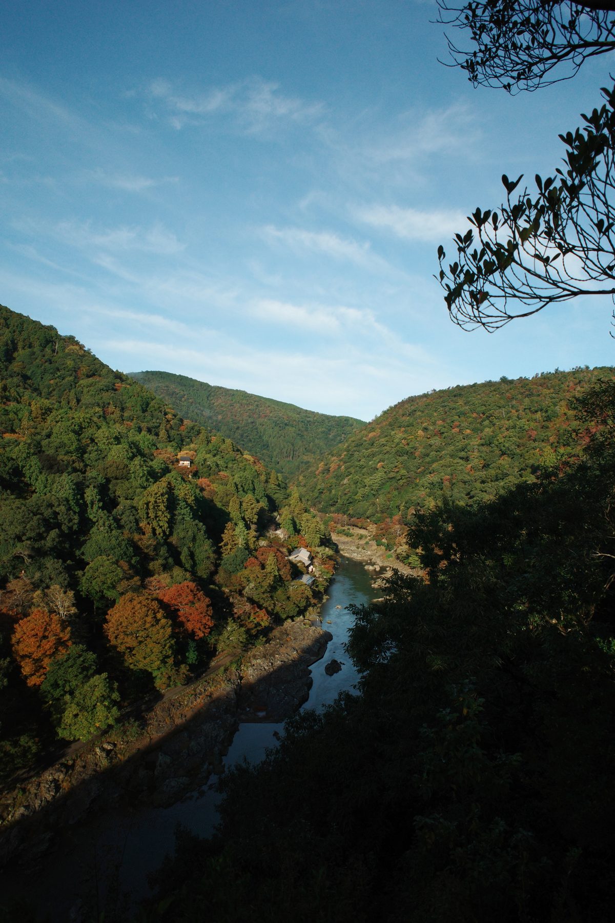 Autumn colours along the river