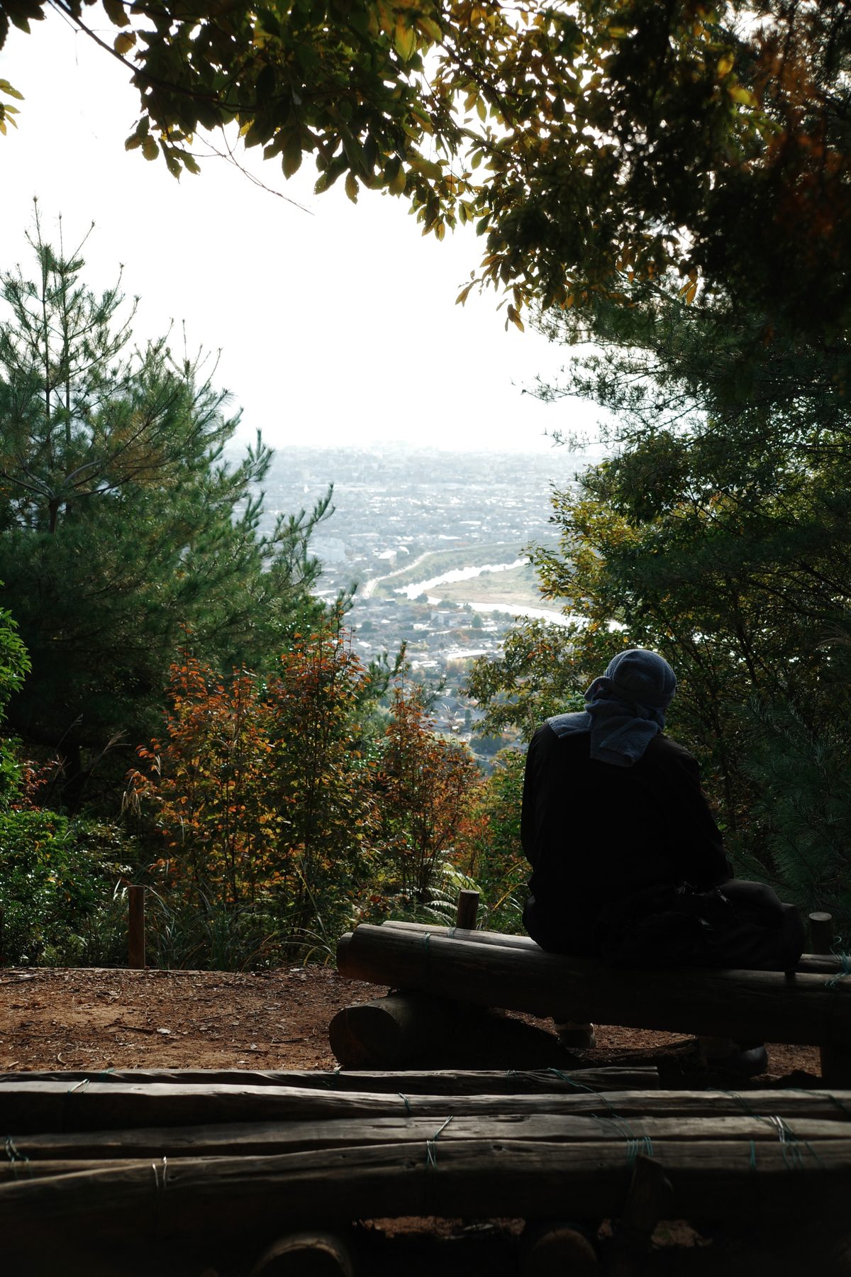 A figure at the viewpoint