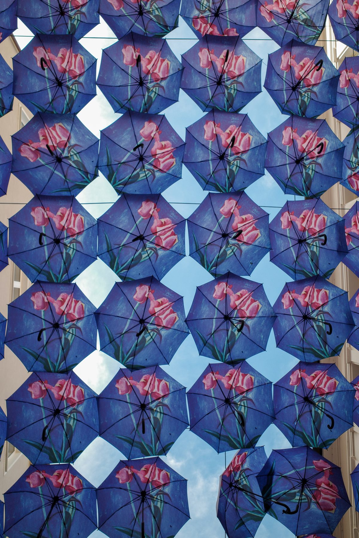 Blue umbrellas over a street
