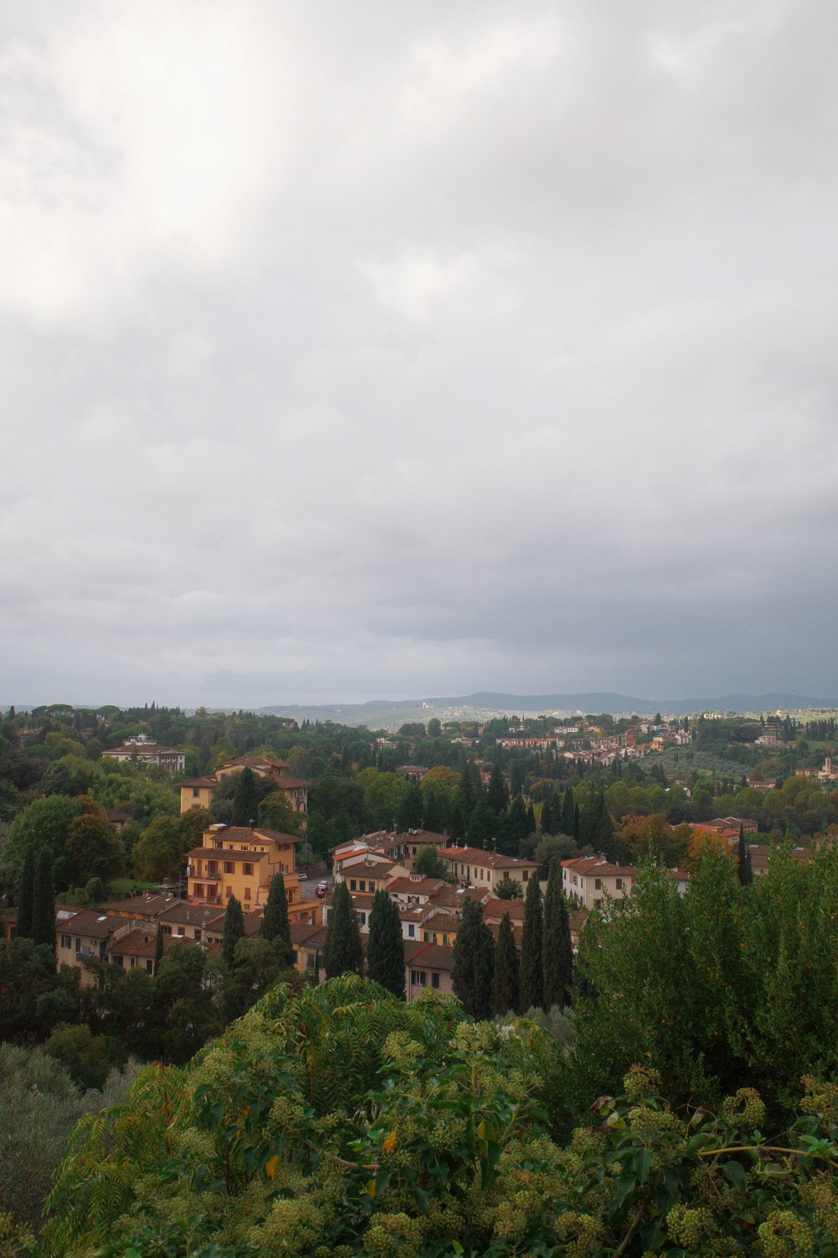 The view from the Boboli Gardens