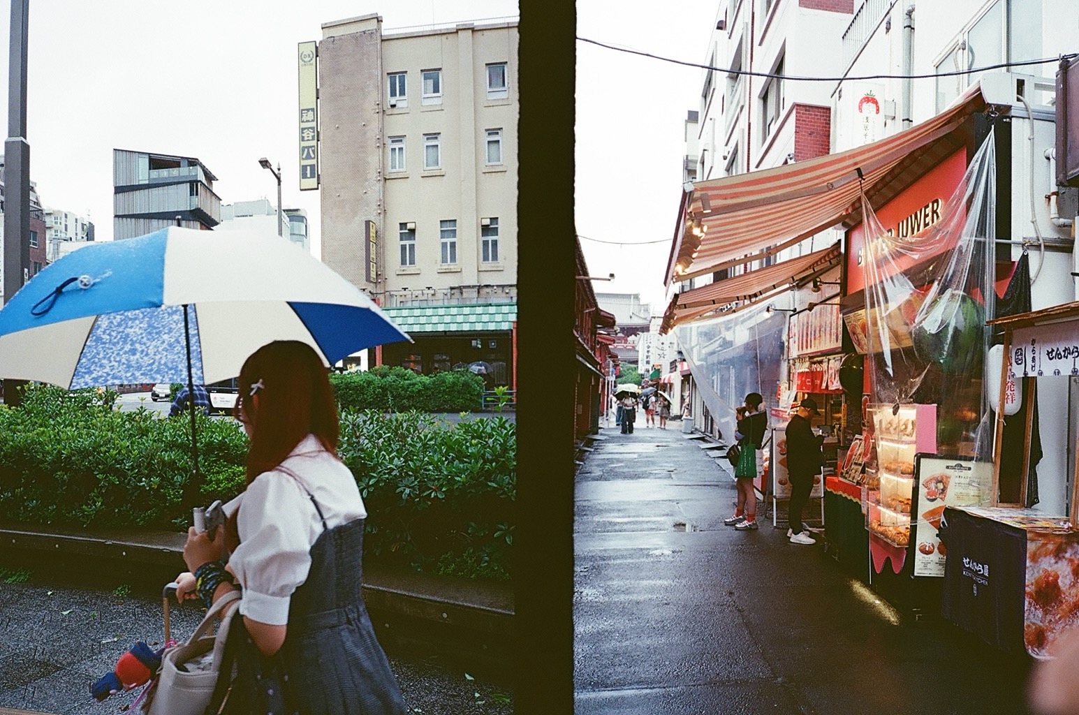 A diptych shot on the Pentax 17