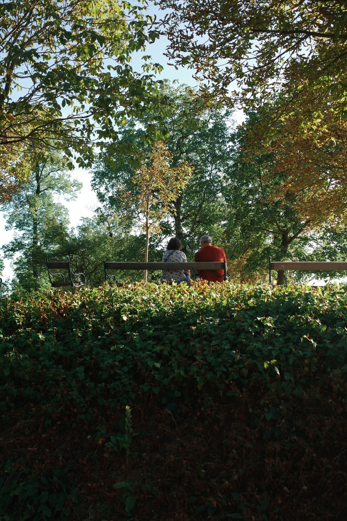 A park in Graz
