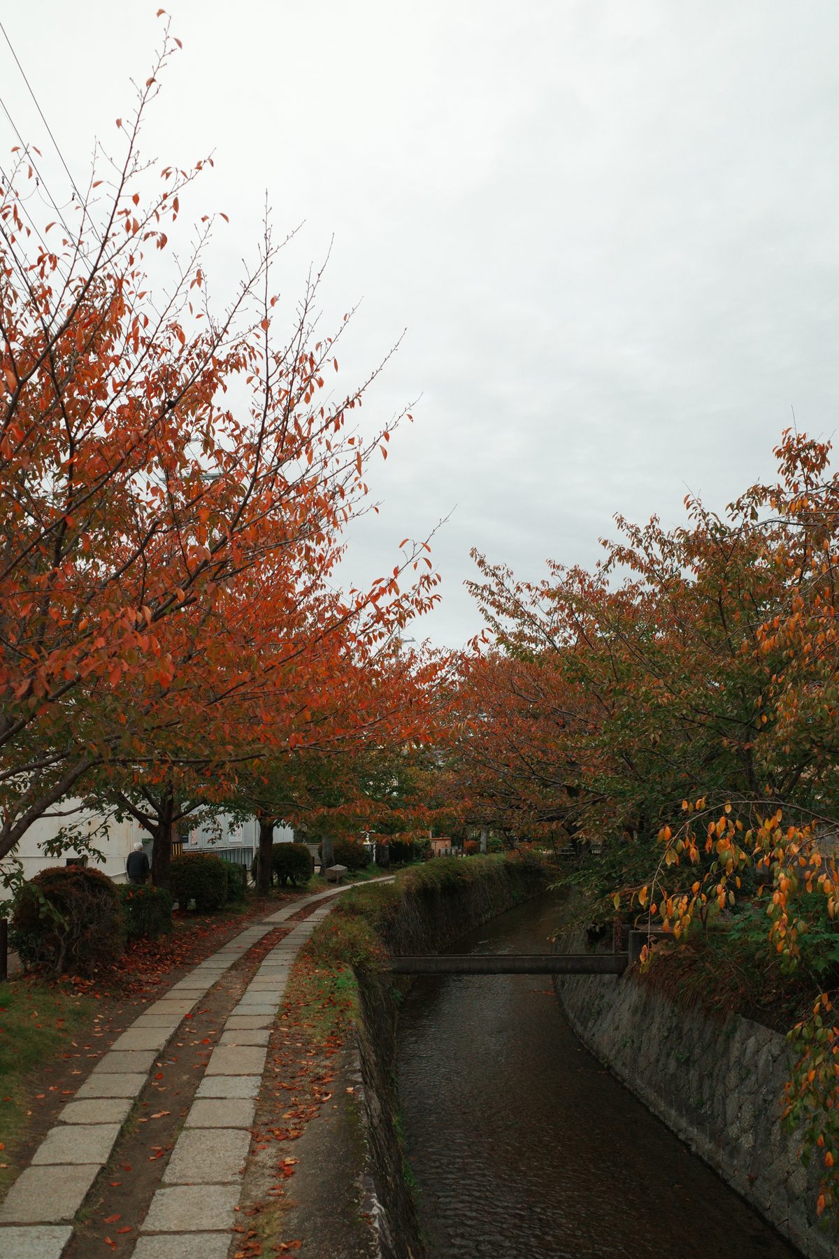 An autumn lane