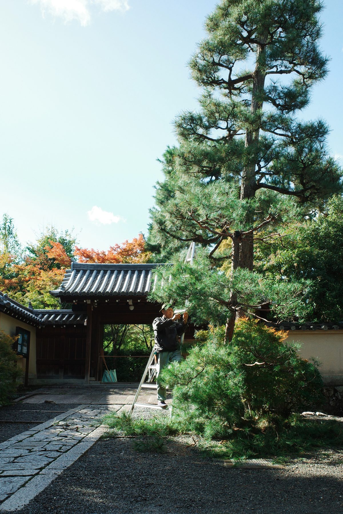 A path to a temple