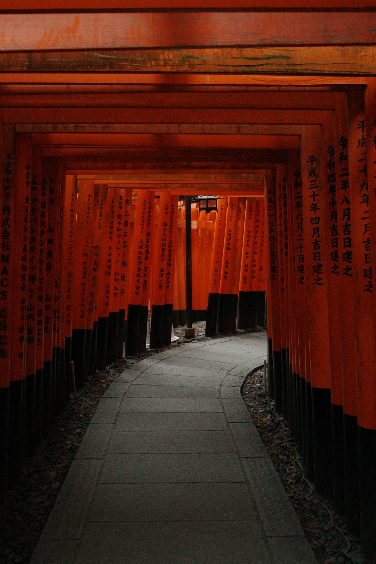 Empty torii at first light