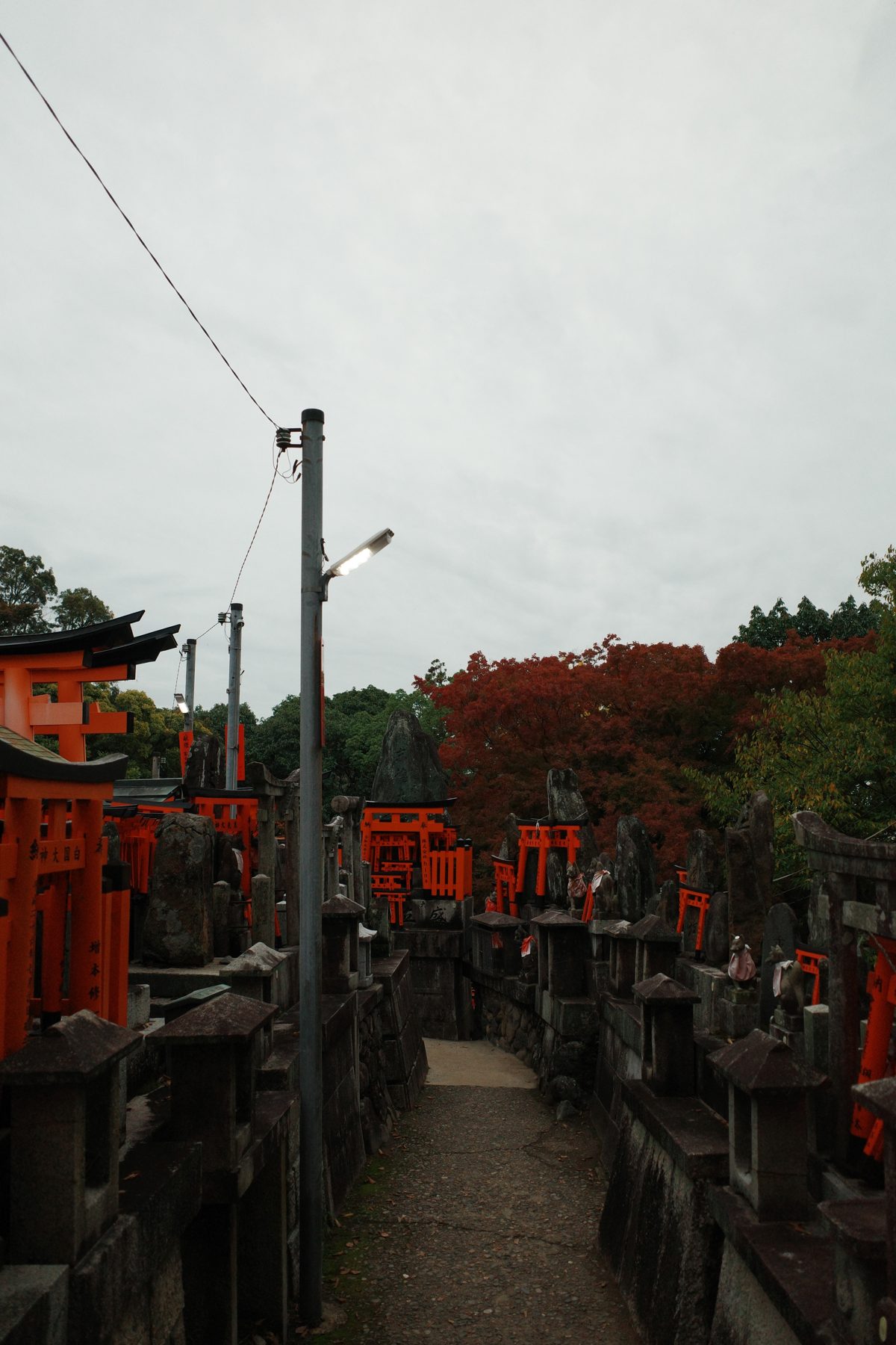 The torii path at Fushimi Inari