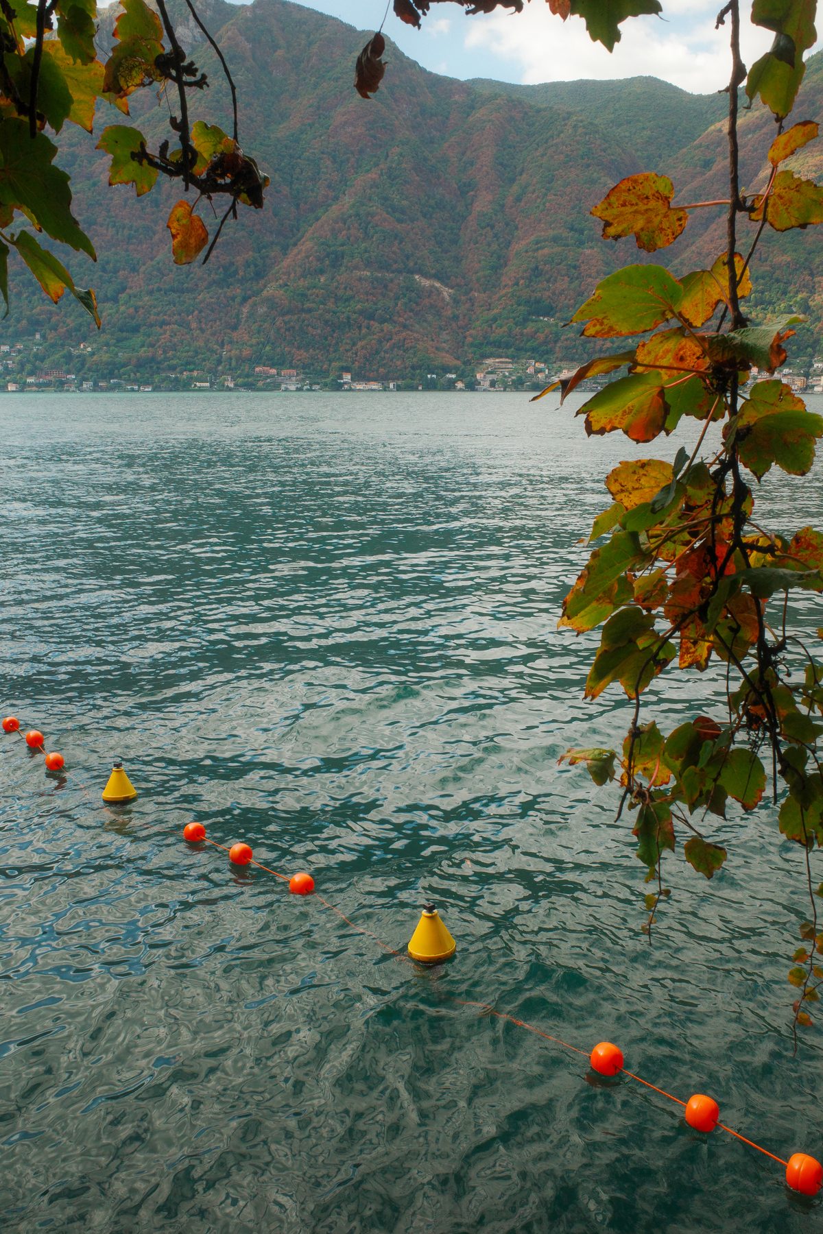 Buoys in the water
