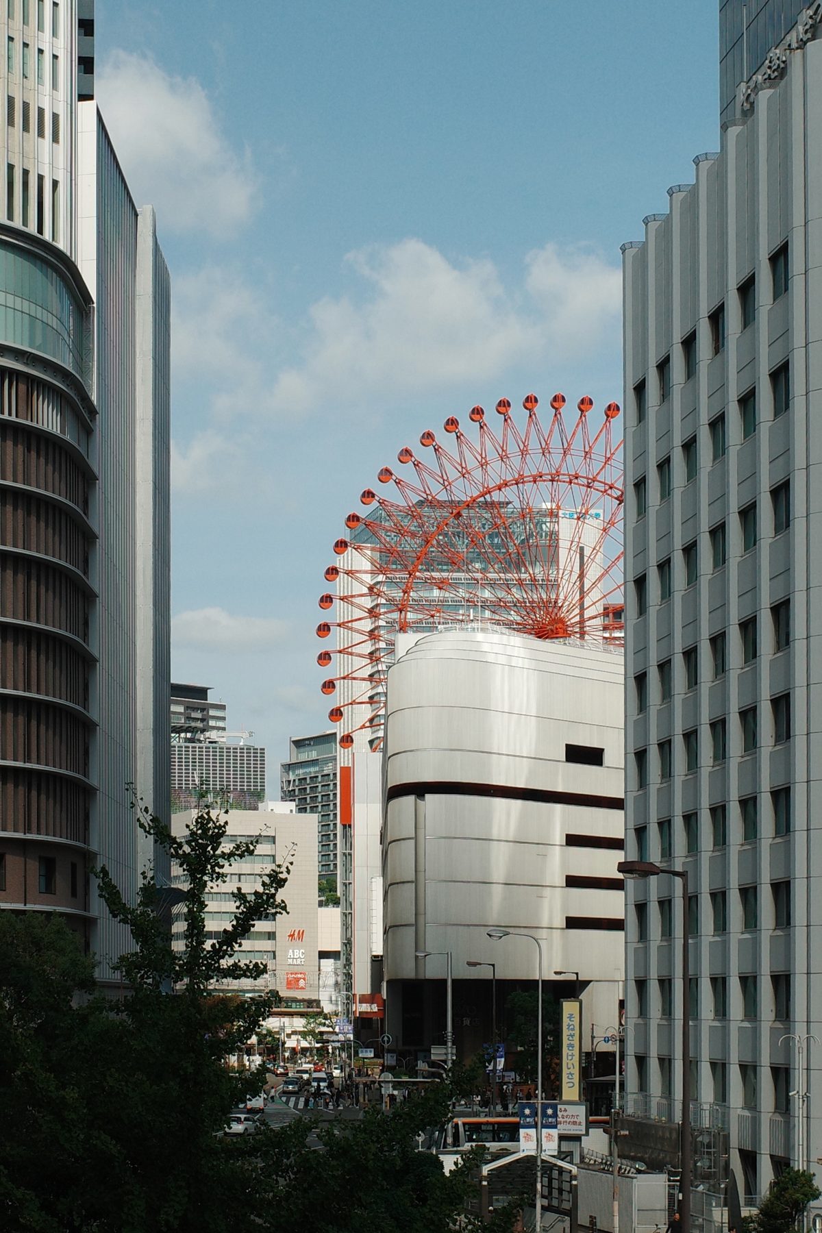 The ferris wheel