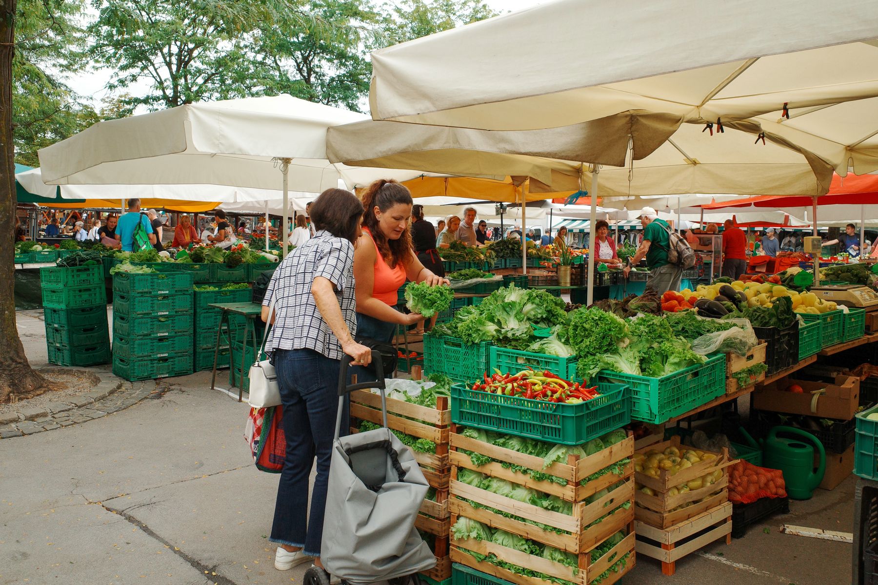 Vegetable stalls at the Central Market in Ljubljana