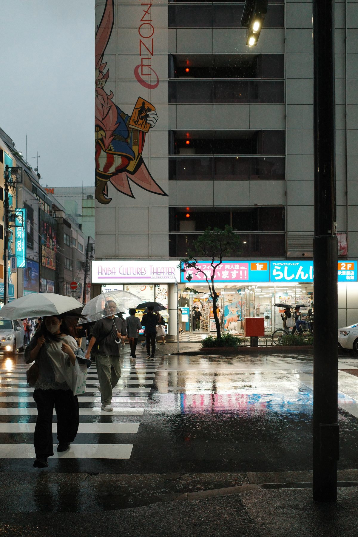 A crossing in the rain
