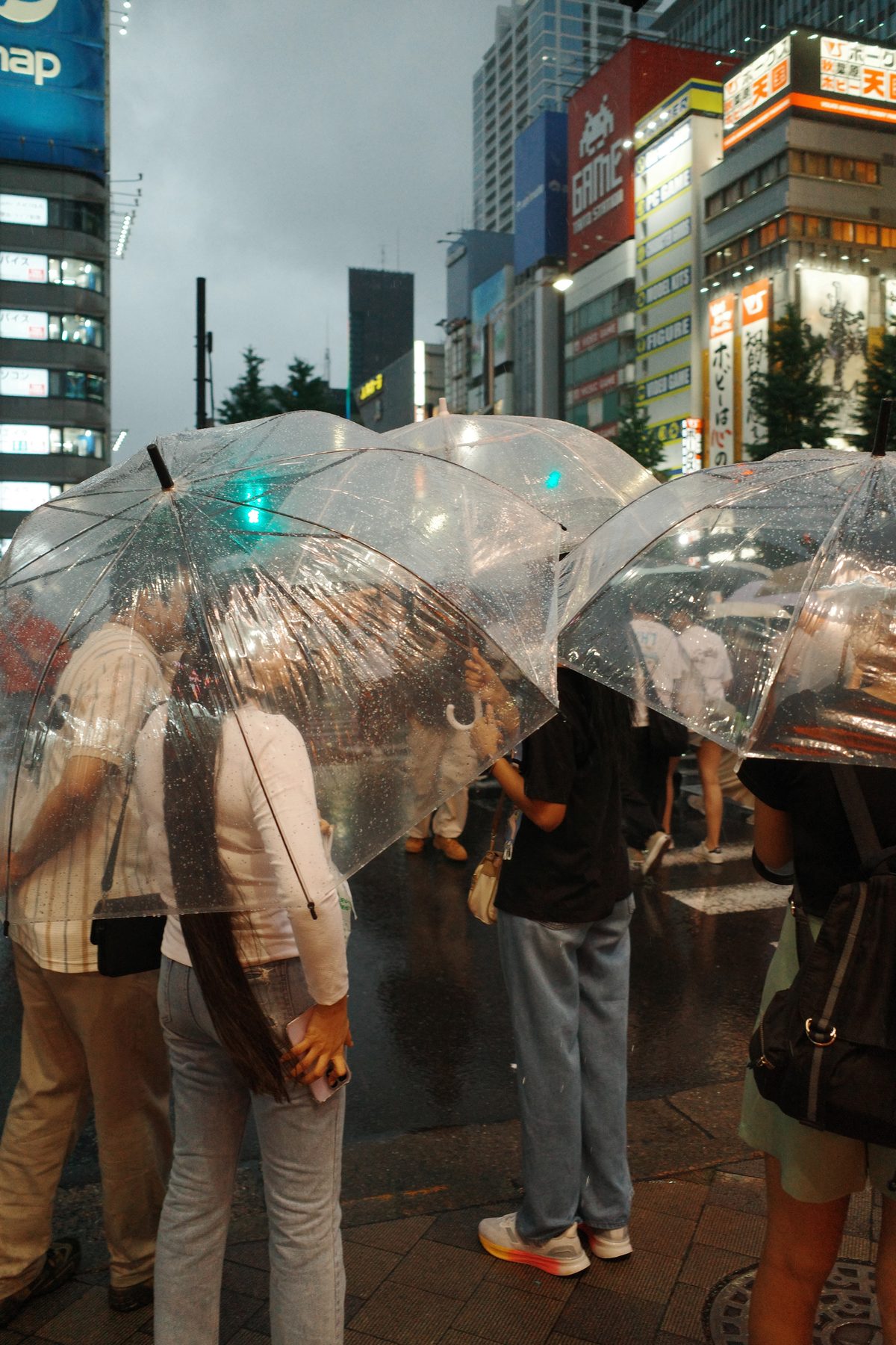 A crowd under clear umbrellas
