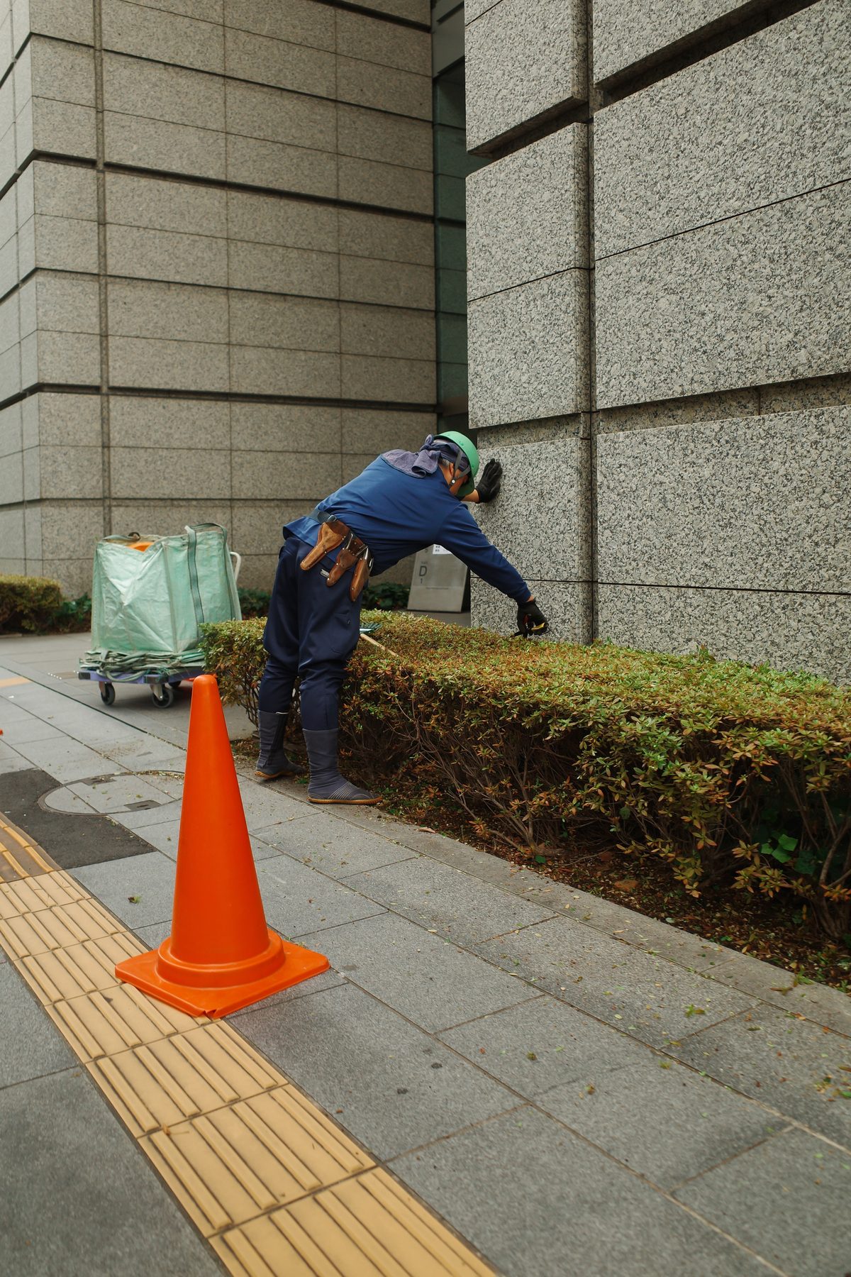 A gardener at work