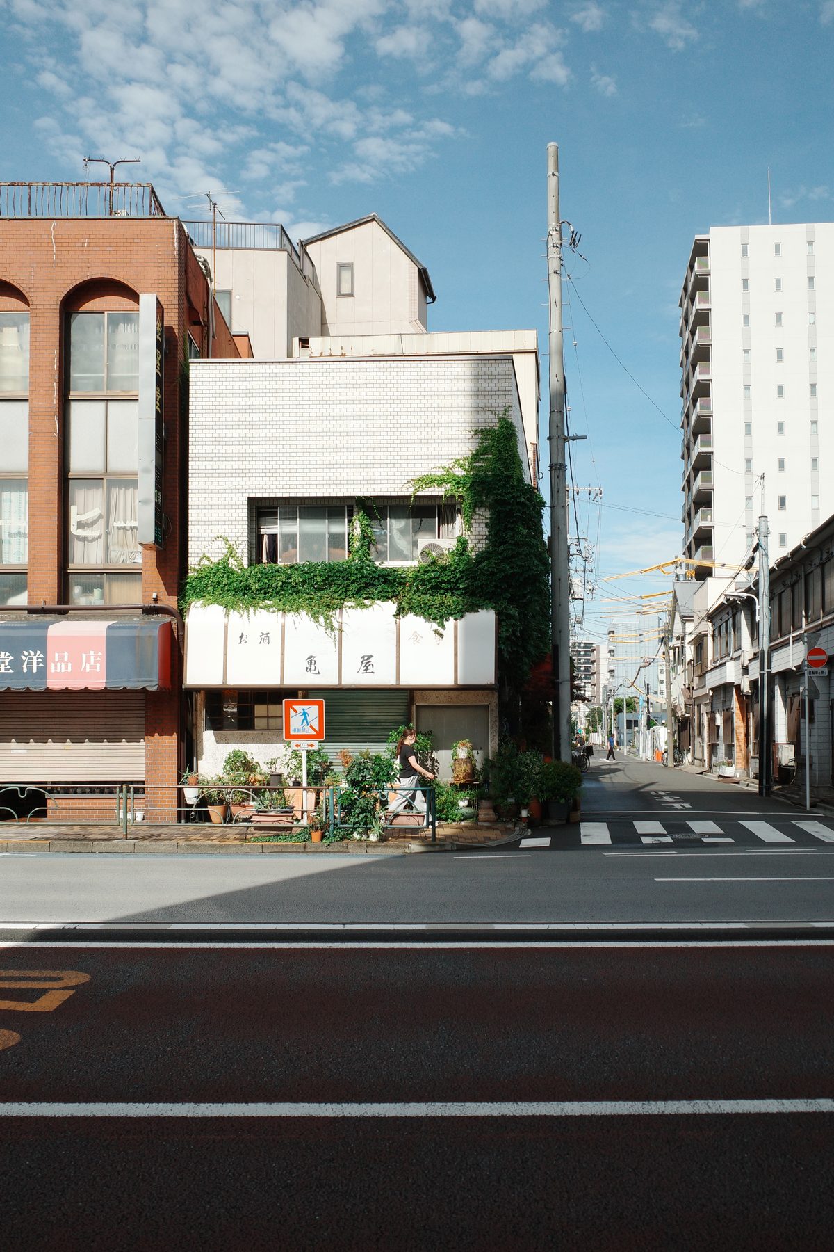 A house covered in plants