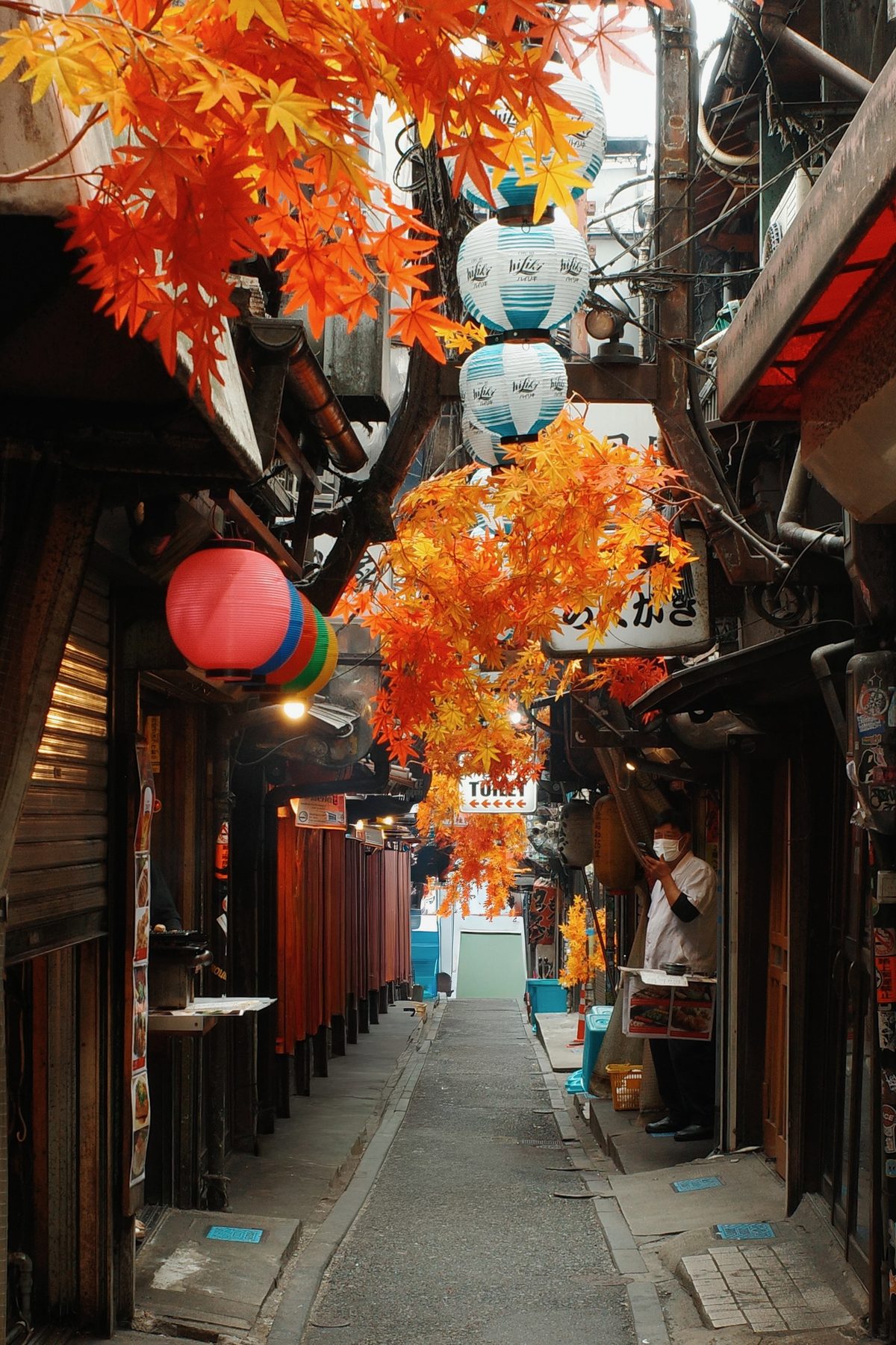 A narrow alley under paper lanterns and autumn leaves