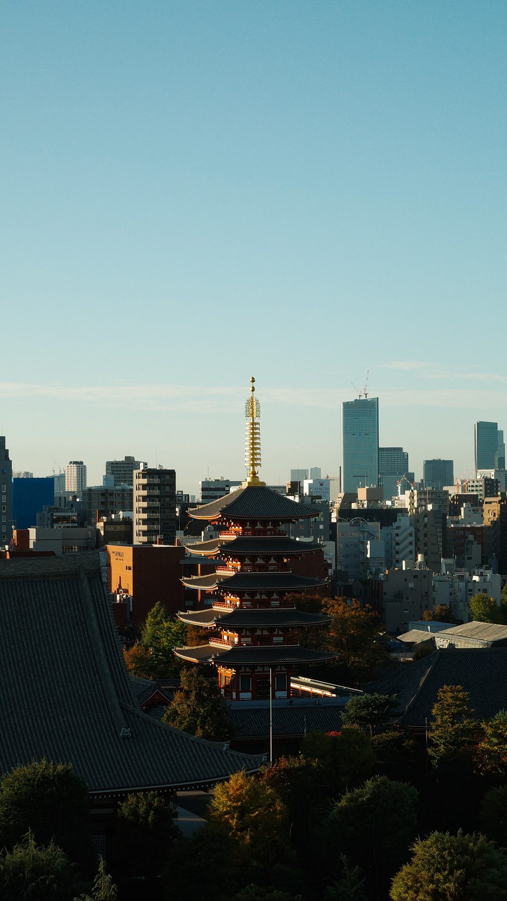 A pagoda against the morning sky