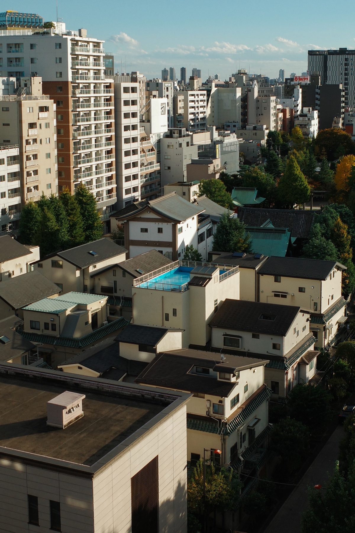 Tokyo rooftops seen from above