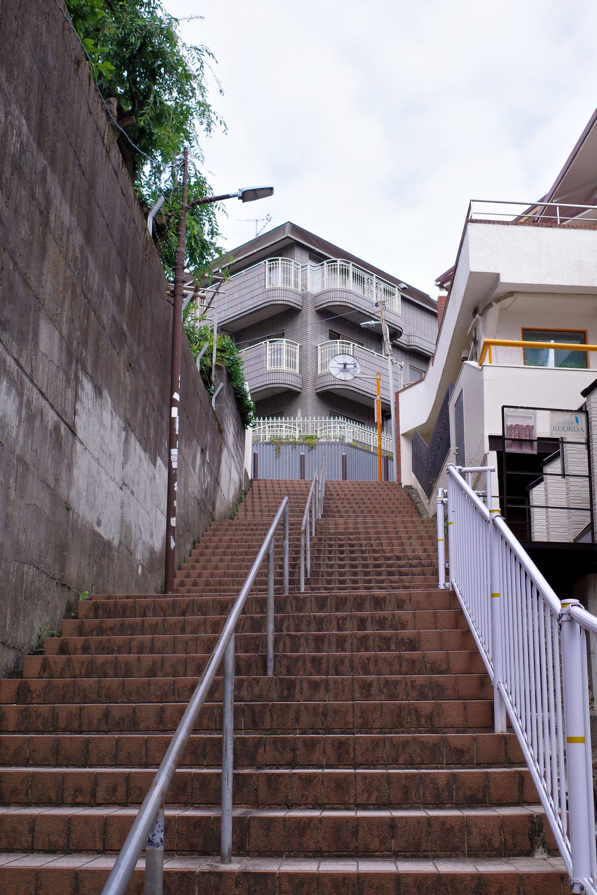 A long staircase between houses