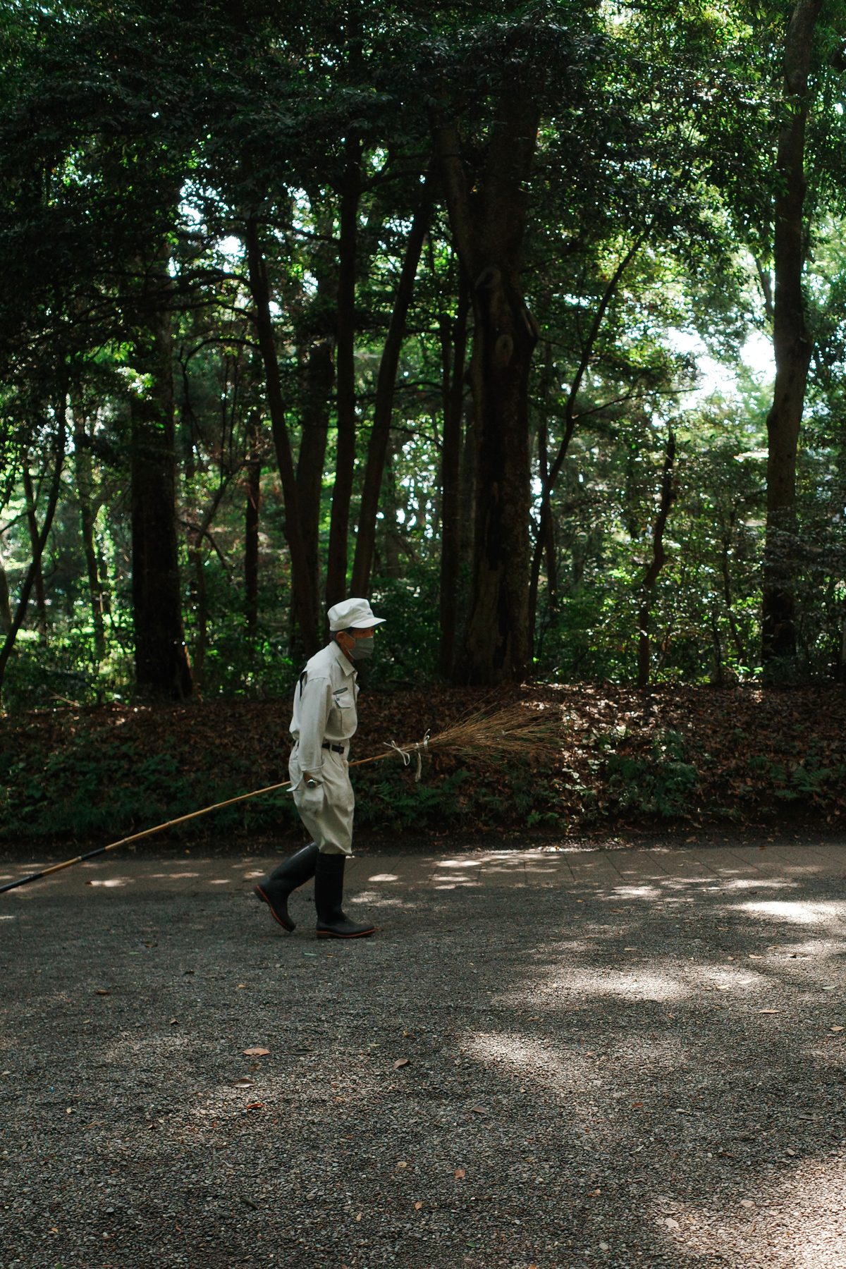 A man walking in the forest