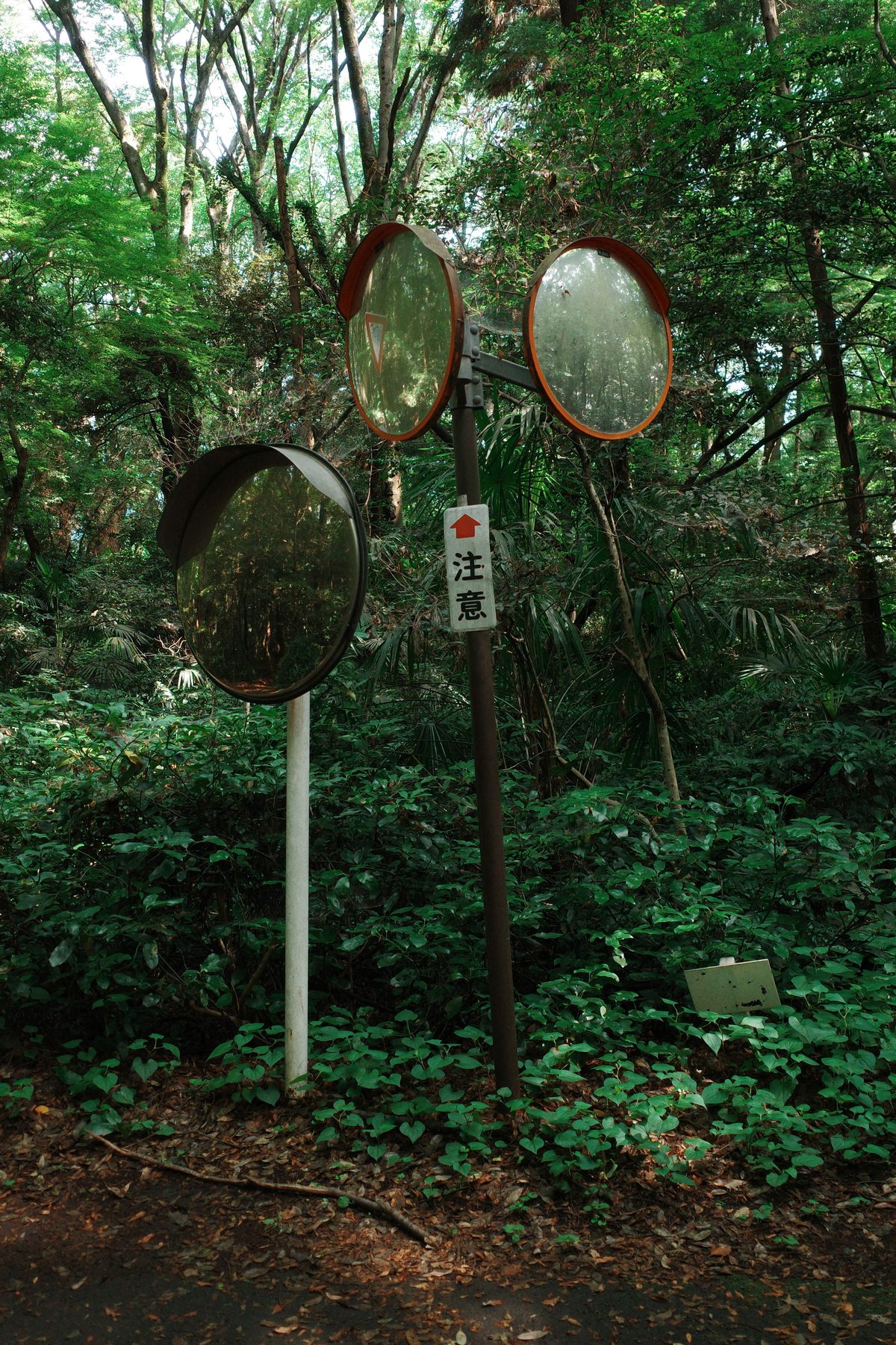 Traffic mirrors in the Meiji Jingu forest
