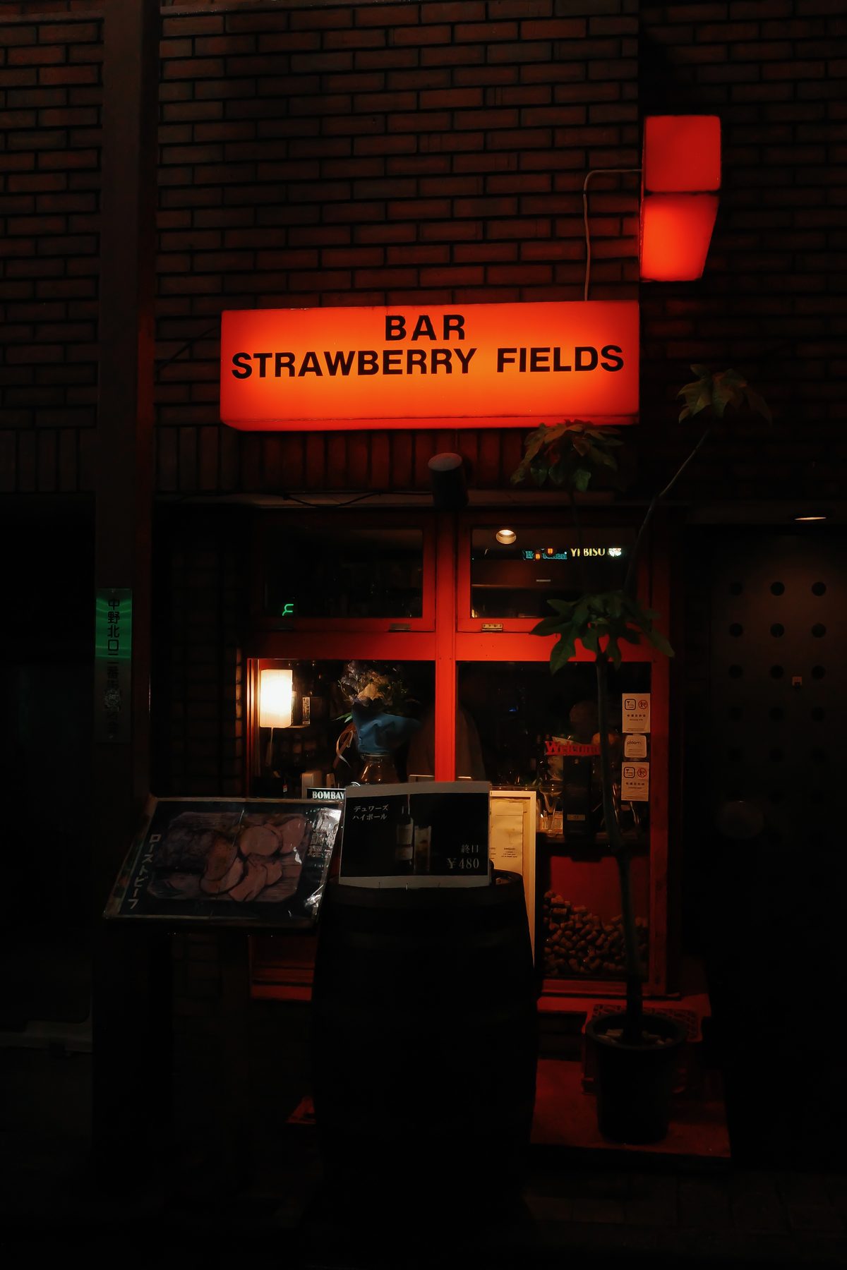 Bar Strawberry Fields