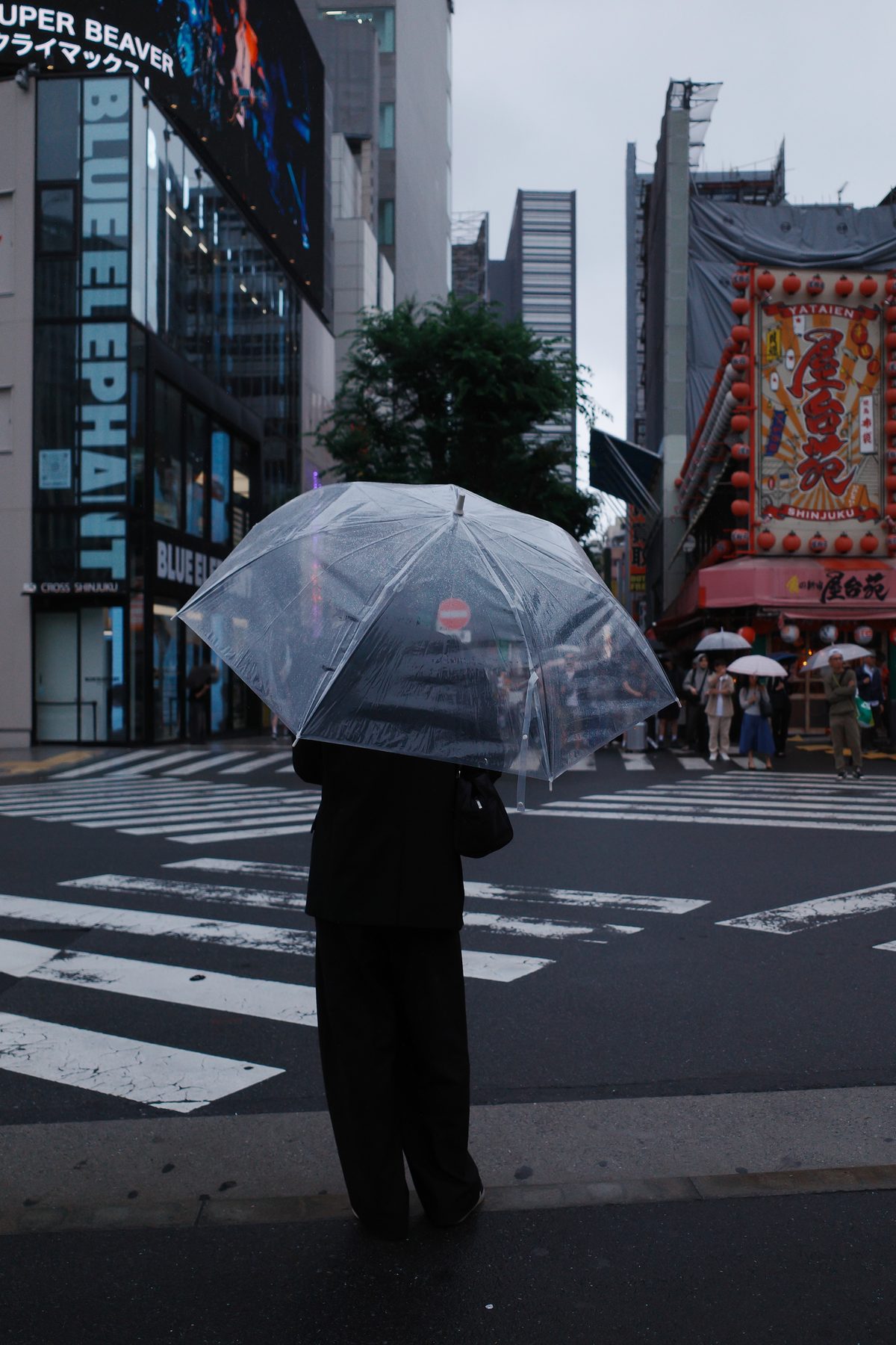 A man under an umbrella at a crossing
